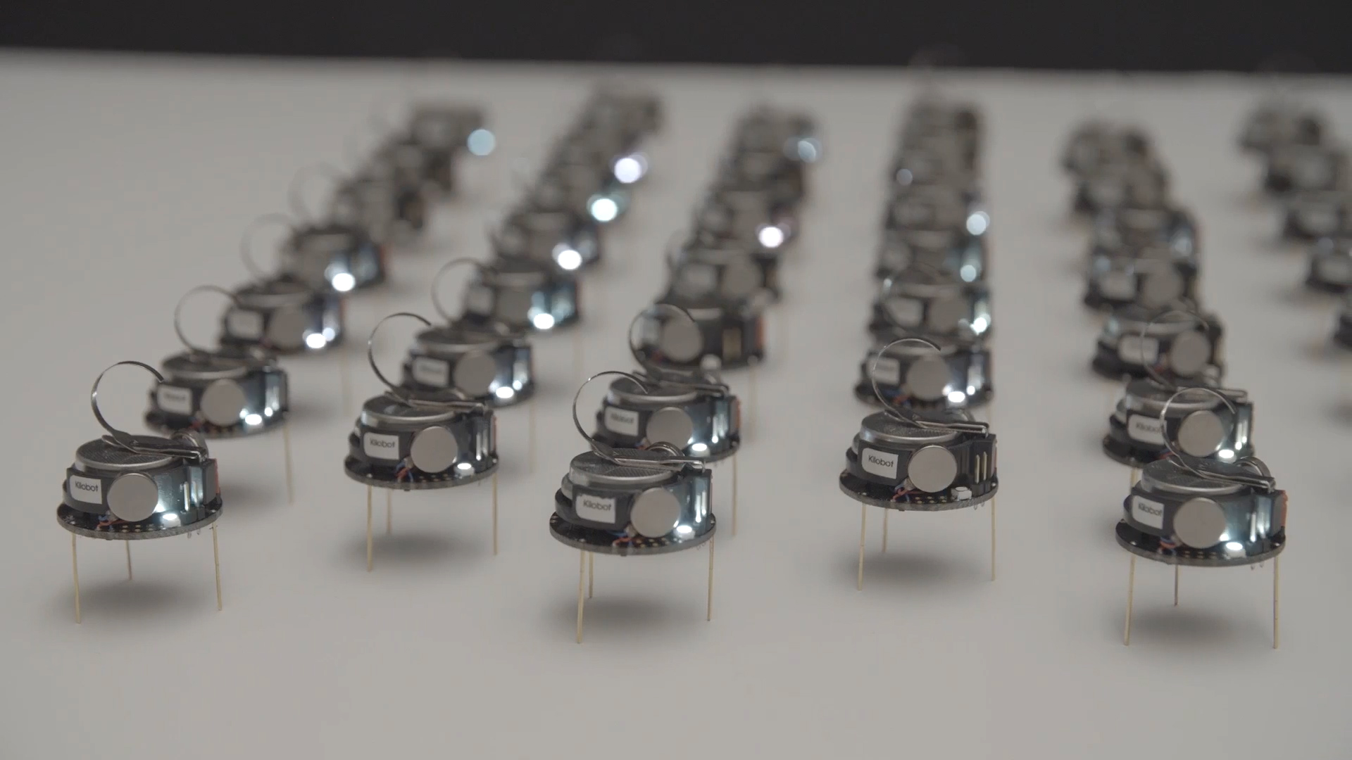 Kilobots can synchronize their flashing lights like fireflies by sensing and imitating their neighbors. 