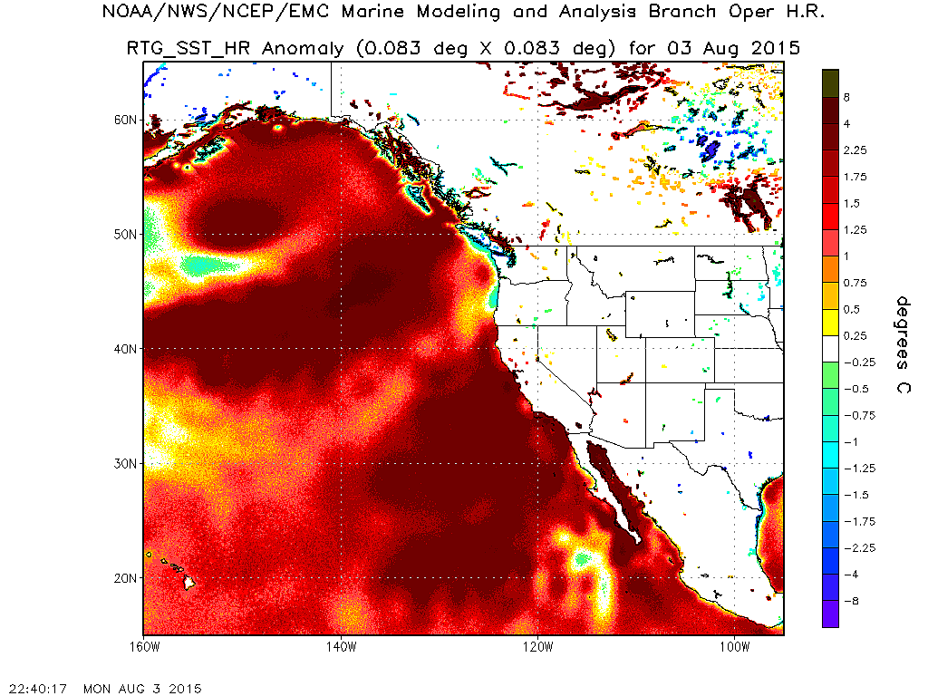 Ocean waters near California have warmed further in recent weeks, and remain far above normal. 