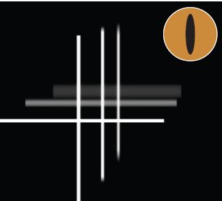 This image demonstrates how an asymmetric depth of field might look to an animal with a vertical slit pupil. Three crosses are placed at different distances from the camera, which is focused on the nearest cross. The vertical lines of all three crosses are relatively sharp,whereas the horizontal lines of the two farther crosses are quite blurred.