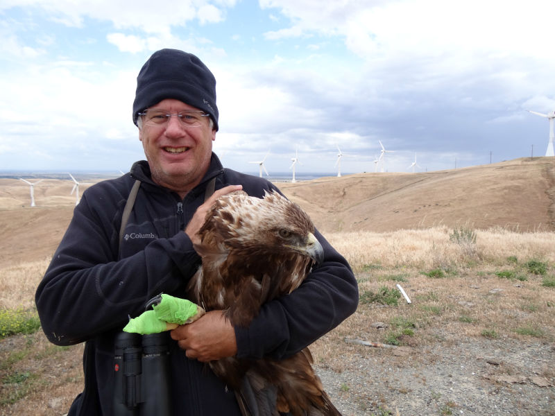 Ecologist Shawn Smallwood holds a golden eagle found injured in the Altamont Pass.