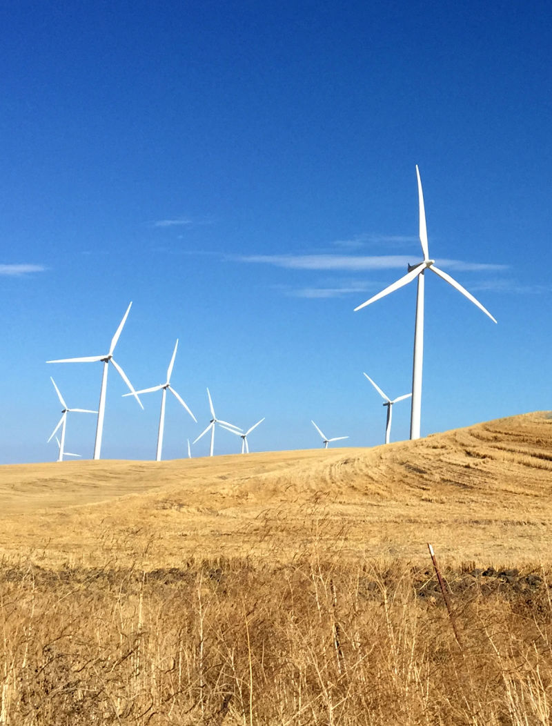 Only one wind farm, in Solano County, has received a federal permit for the killing of golden eagles. Several others have applications in the pipeline.
