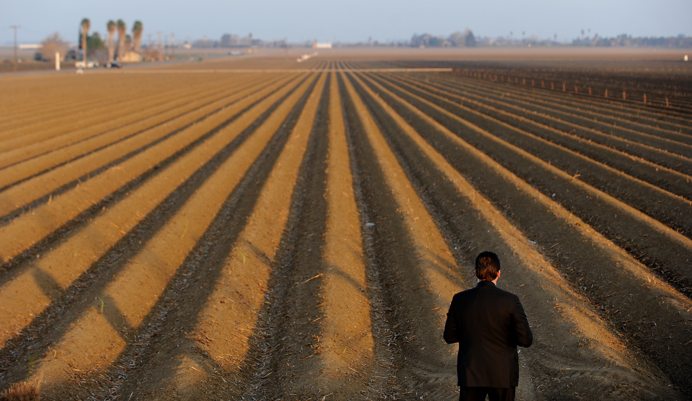 A secret service agent looks over a fallowed field near the Fresno County town of Firebaugh, during a February 2014 visit by President Obama to announce emergency drought relief measures.