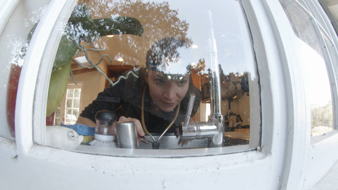 Michelle Trautwein searches a kitchen windowsill, a common location to find arthropods that filtered in from the surrounding environment.