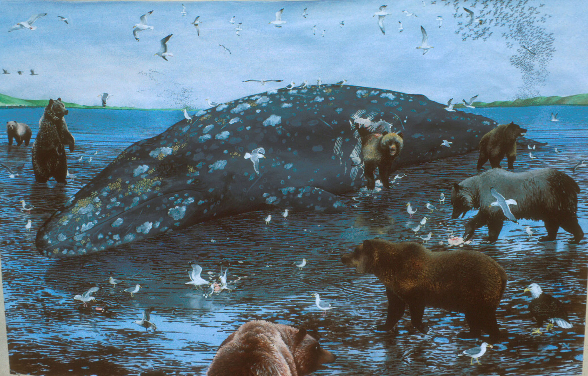 Grizzly bears feeding on a beached whale carcass, as imagined by artist Laura Cunningham.