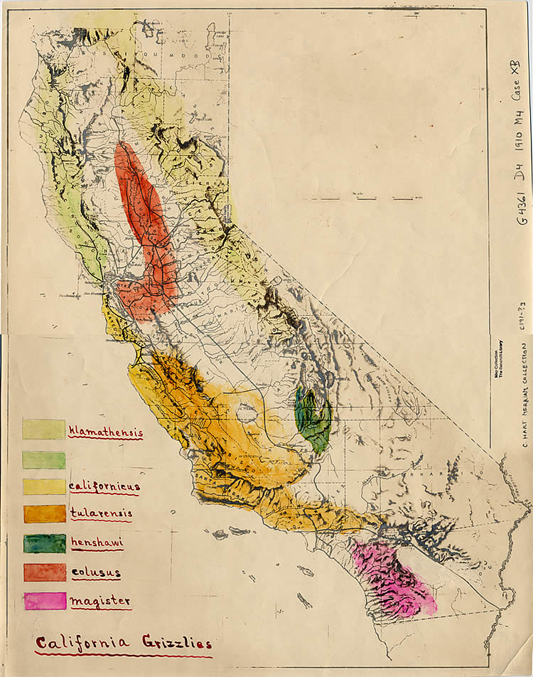 C. Hart Merriam's hand-colored map shows grizzlies in widely varied habitats across California. He also identified several subspecies.