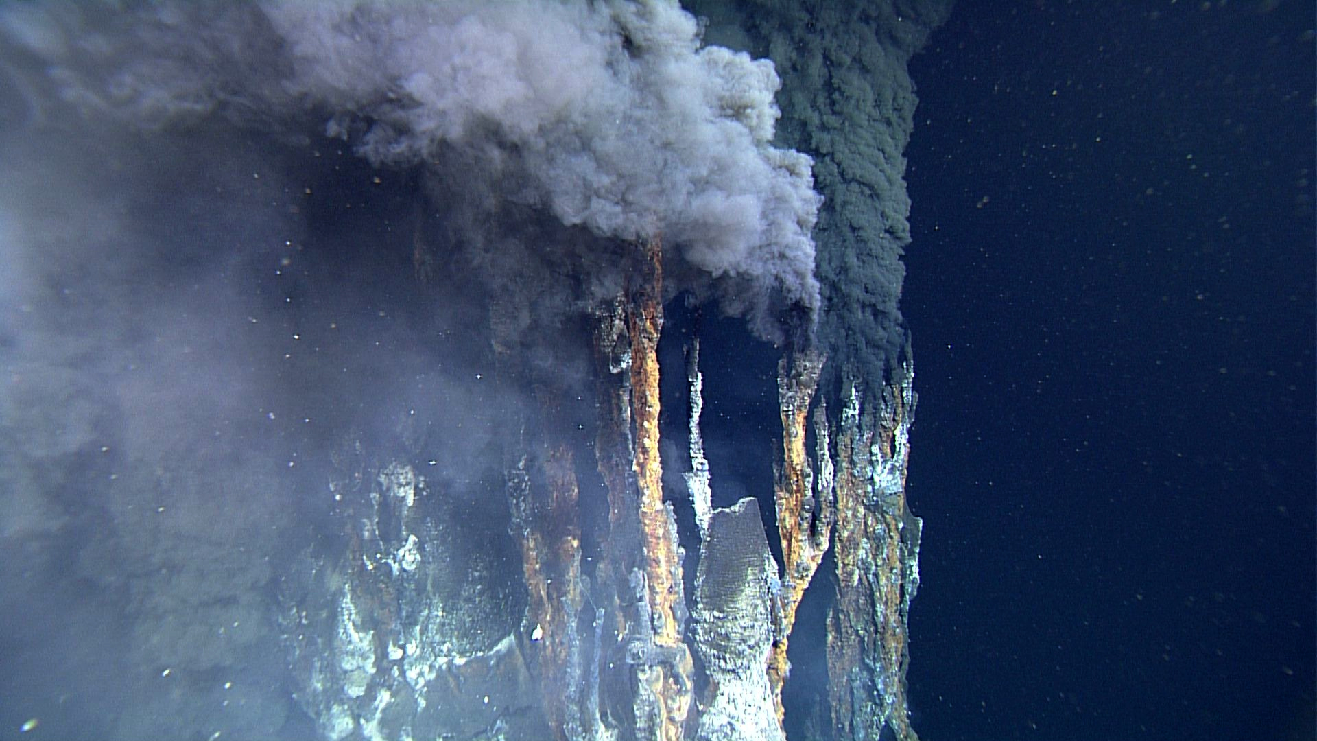 This thermal vent or "black smoker" is located in the Gulf of California and spews mineral-rich water that's over 550 degrees Fahrenheit.