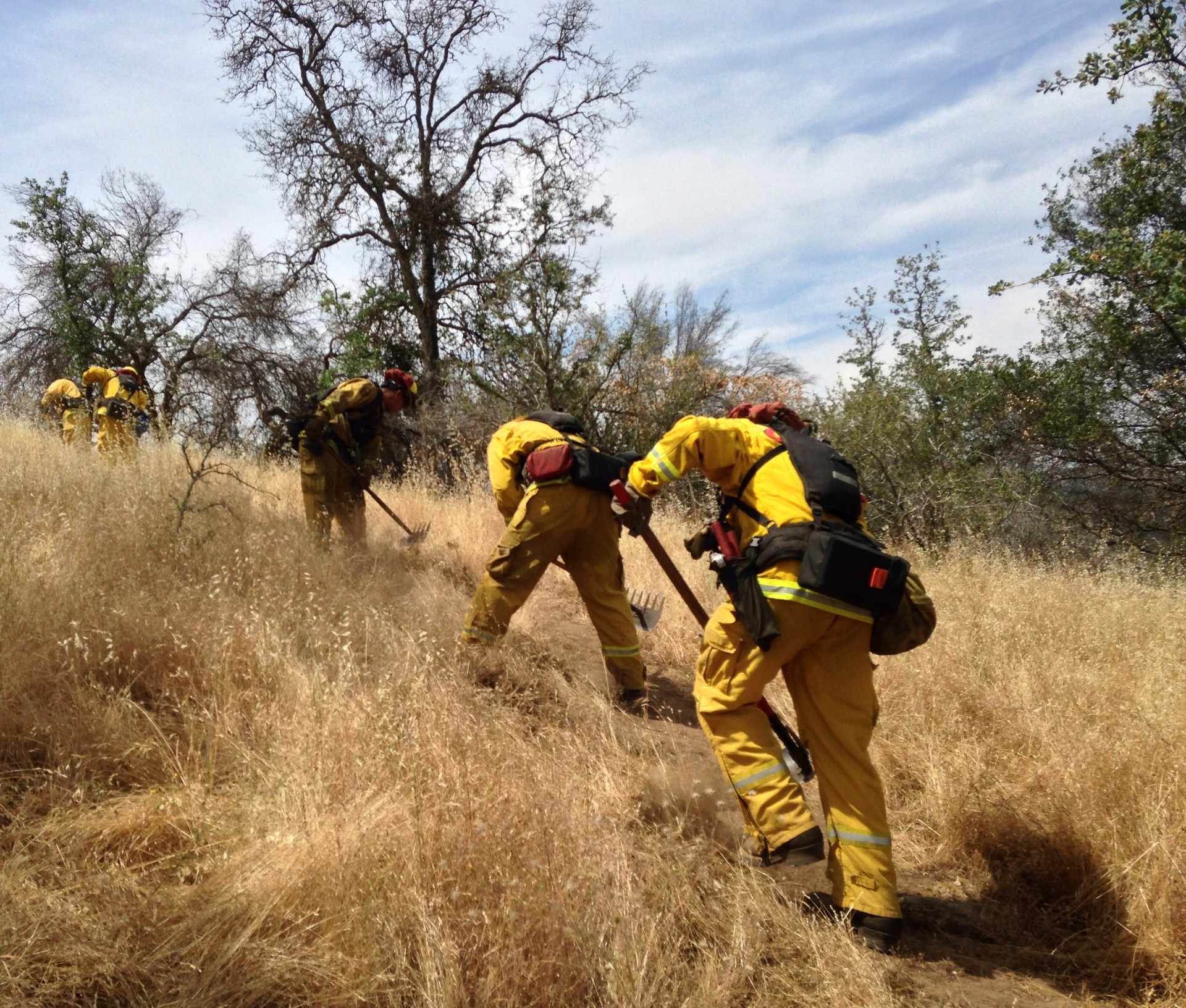 Crews clear a fire break in the Sierra foothills, in preparation for this summer's fire season.