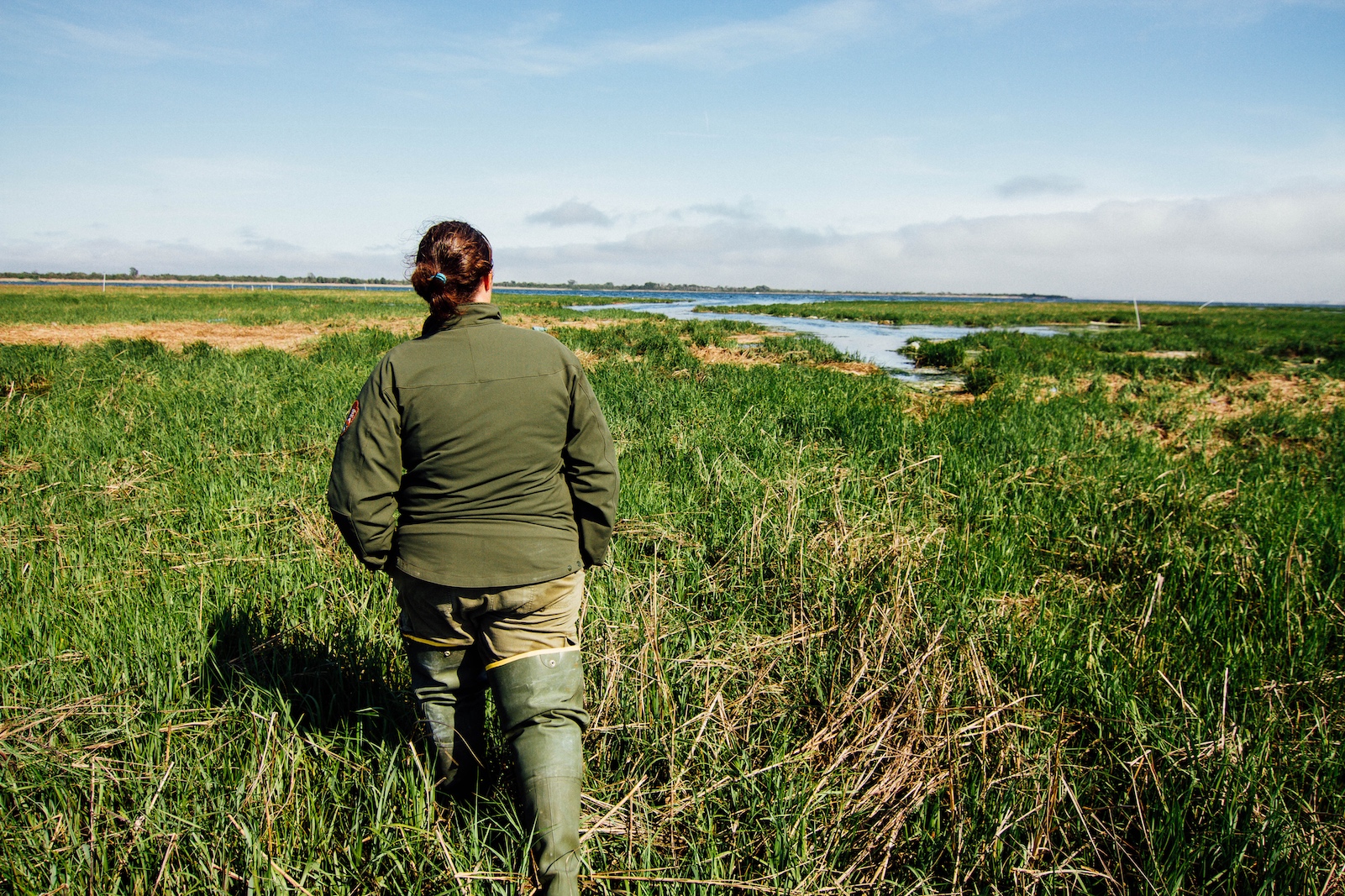 Jolene Willis walks on West Elders Marsh, which is part of Gateway’s longest-running marsh restoration project. 