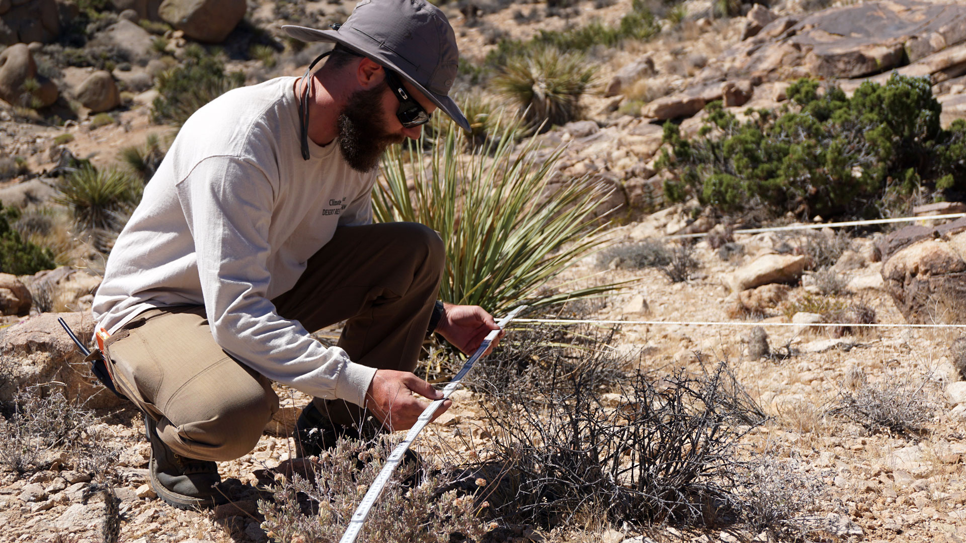 James Heintz of UC Riverside maps out plant life for a yearly ecosystem census.