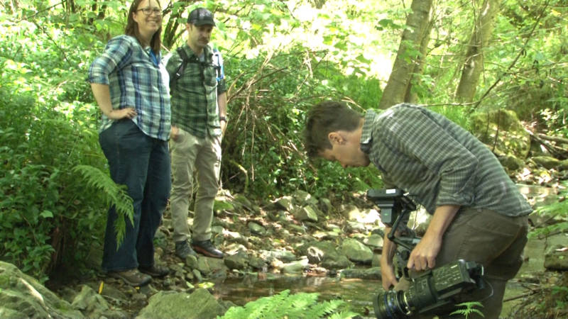 3 people near a stream filming caddisfly