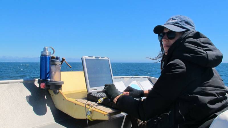 Taylor Nairn, of the Greater Farallones Association, records wildlife sightings along an observational transect as a member of the AV Fulmar's marine research crew.