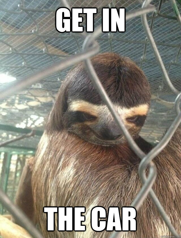 The creepy sloth meme.