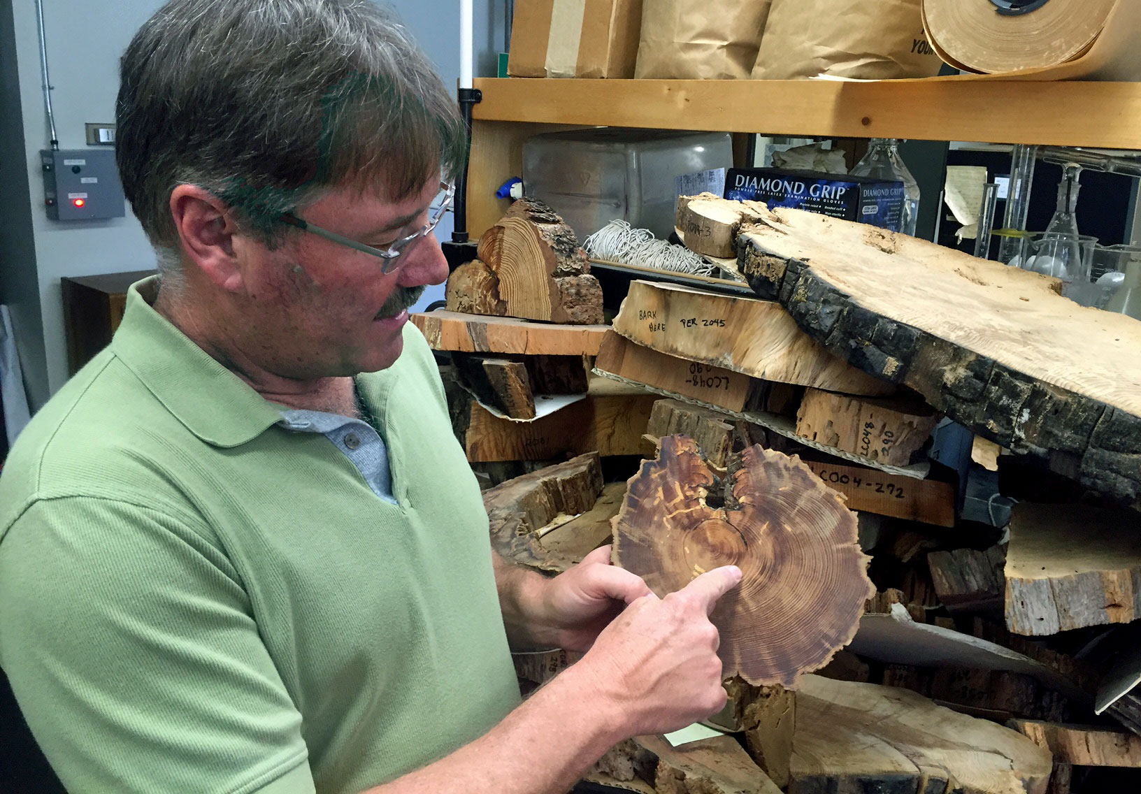 UC Berkeley scientist Scott Stephens shows the fire history in a tree cross-section.