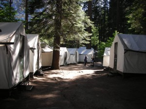 Curry Village tent cabins at Yosemite National Park. (Jun Seita: Flickr)