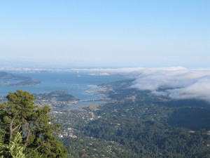 View of Marin County from Mt. Tamalpais. (Flickr: Steve Mohundro)