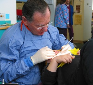 Almost 60% of California children on Medi-Cal did not receive any dental care in 2011 (nmoira/flickr)