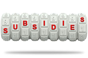 subsidies key 300