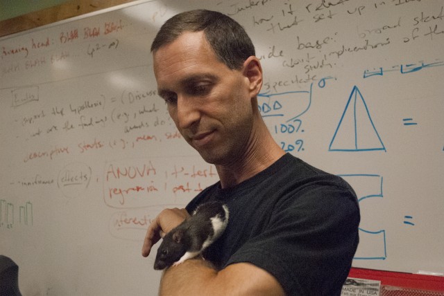 UCLA psychology professor Aaron Blaisdell studied what happened to rats when they were fed a junk food diet. (Photo/Chris Richard)