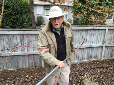 At 95, the author's father, Jim Shute, is still wielding a mean pole saw.