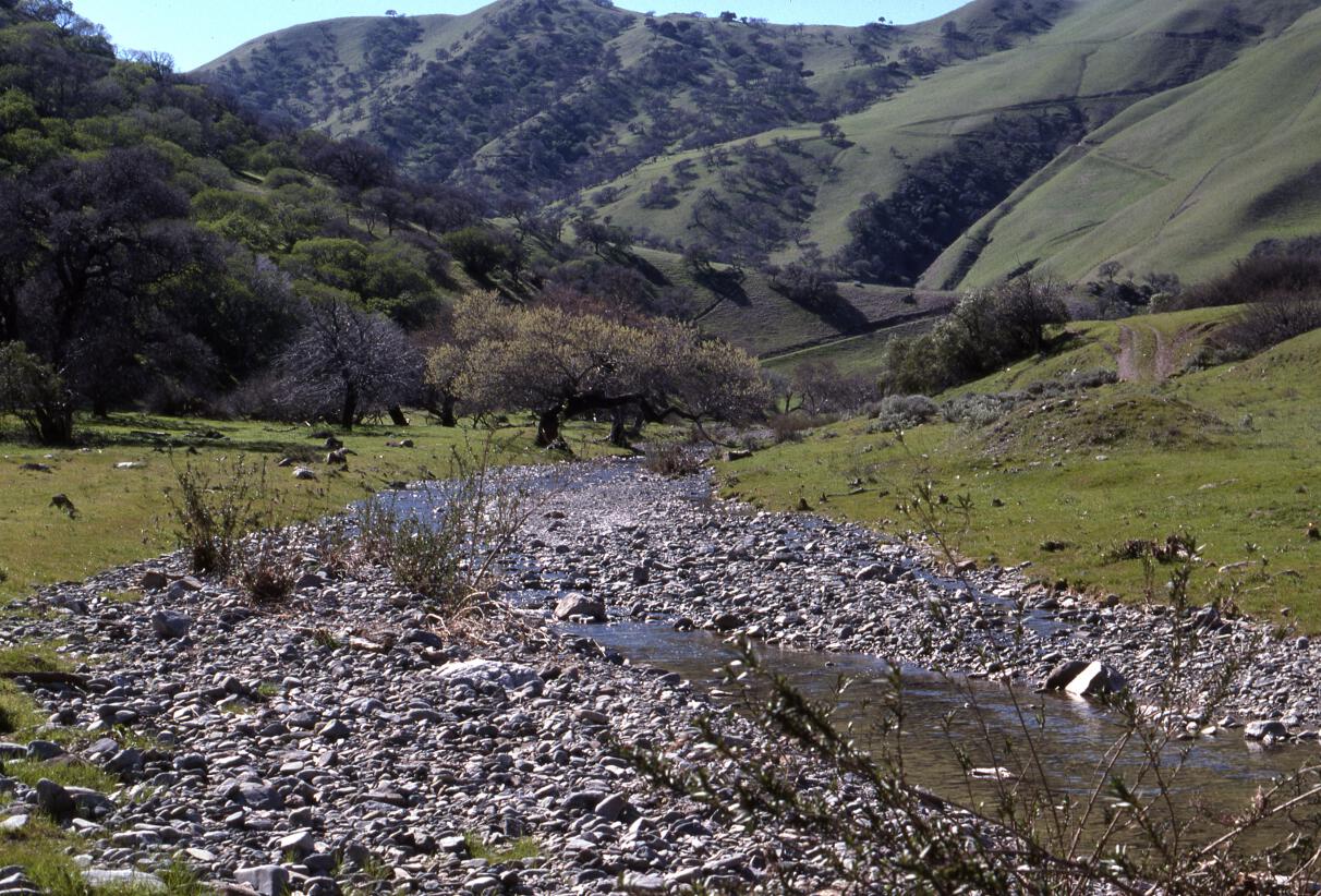 A dry riverbed in the foreground contrasts with green hills behind.