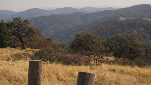 Green hills in the distance are offset by dry, yellow grass and wood posts in the foreground.