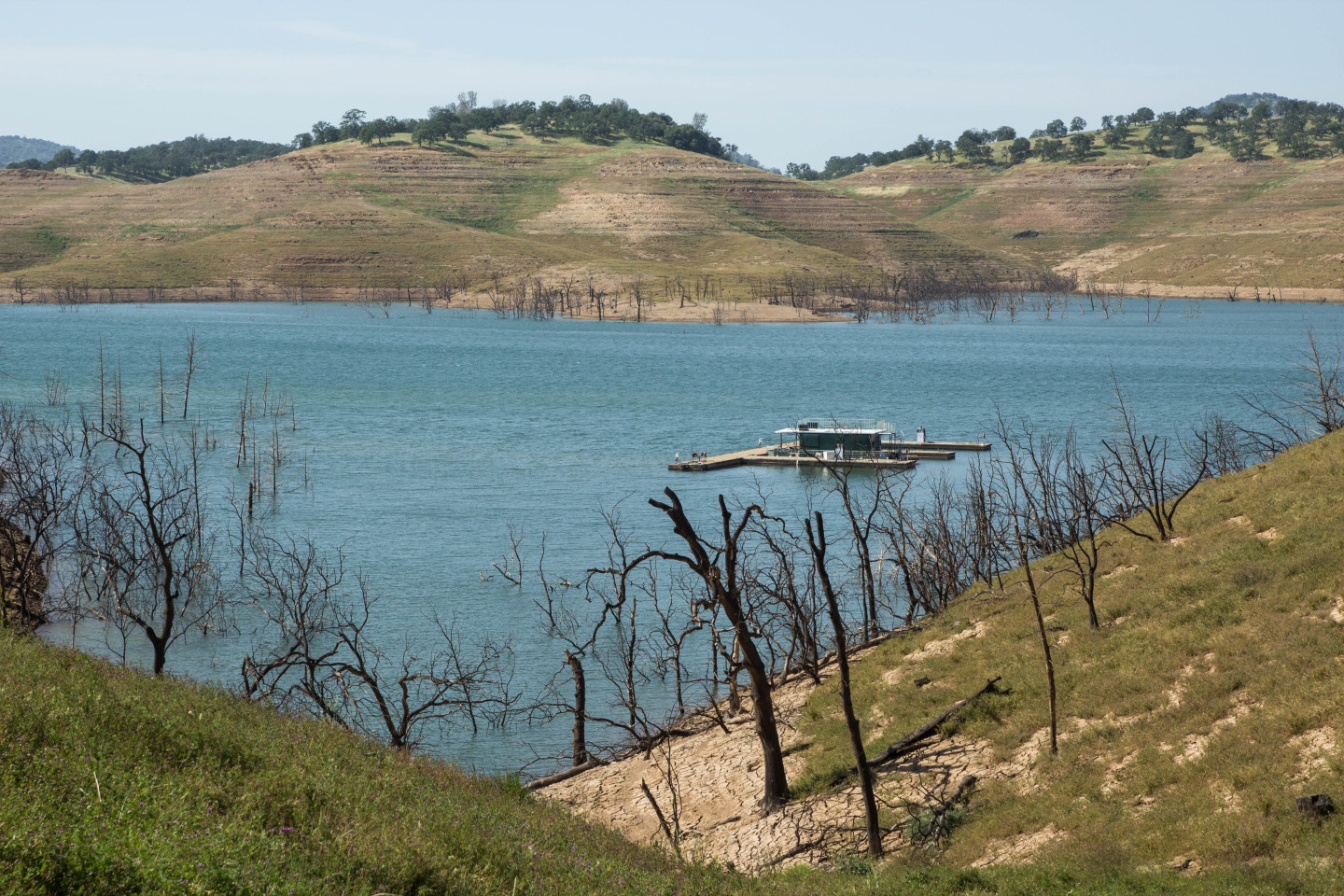 New Melones Lake, the state's fourth-largest reservoir, pictured in April 2015.  Dan Brekke/KQED