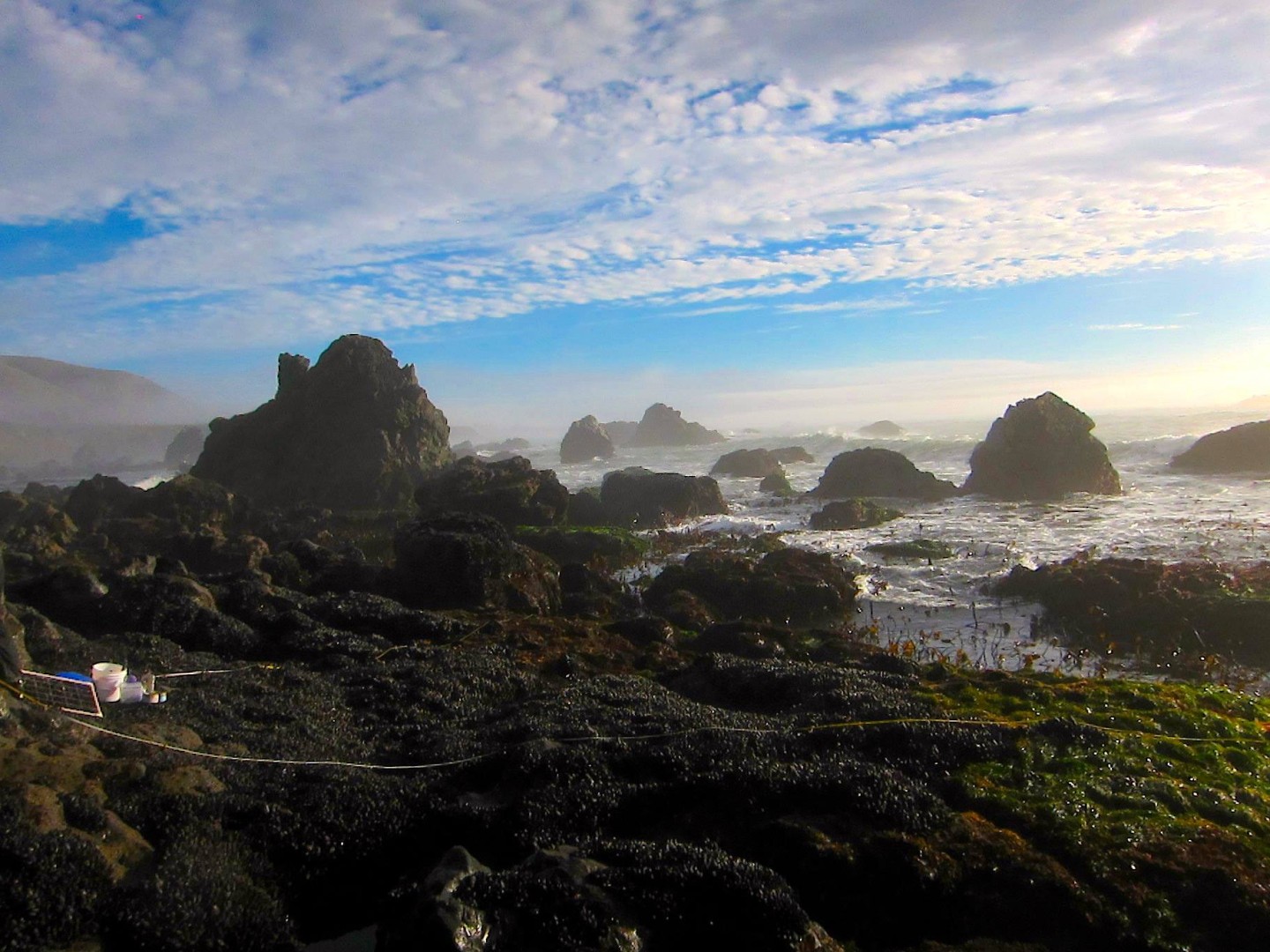 Shell Beach in Sonoma is among the newly protected areas. {Monika Krach/Farallones Marine Sanctuary Association)