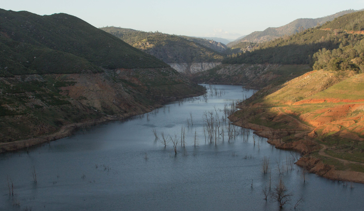 The Stanislaus River canyon, an arm of New Melones Lake. The reservoir is 22 percent of normal and could be completely drained by fall.  Dan Brekke/KQED