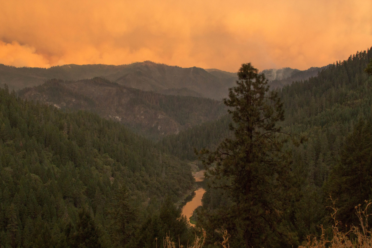 The Frying Pan Fire, burning in the mountains south of the Klamath River in Siskiyou County, as seen from Highway 96 east of the town of Happy Camp in late August 2014. The fire was one of a series sparked by lightning that federal fire managers have dubbed the Happy Camp Complex. The U.S. Forest Service announced Tuesday that a handful of "holdover" hotspots had reignited due to extreme heat and drought conditions. Dan Brekke/KQED