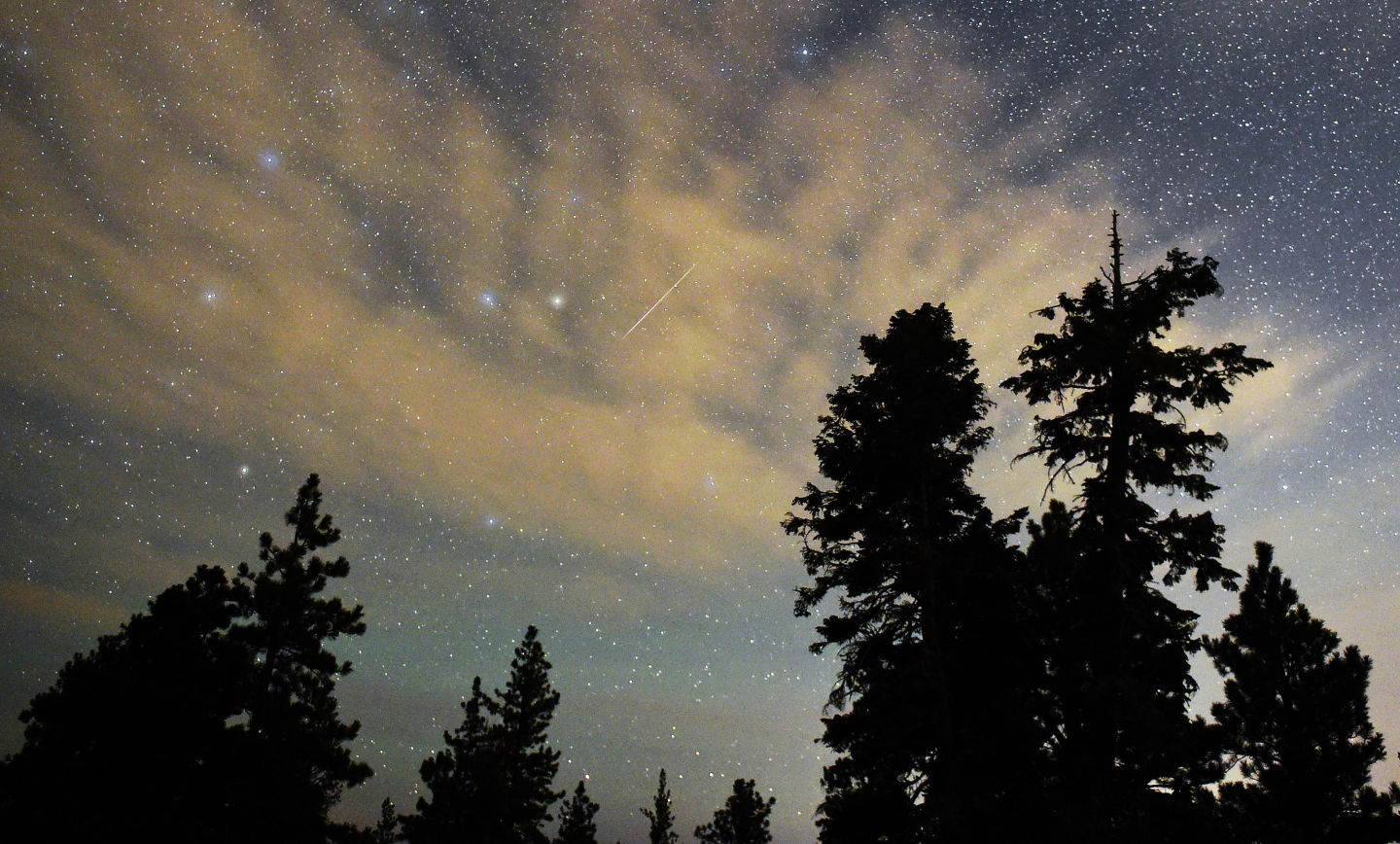 A Perseid meteor streaks across the sky above desert pine trees in the Spring Mountains National Recreation Area, Nevada.  Ethan Miller/Getty Images