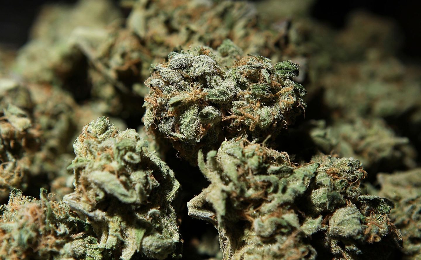 A bowl of medical marijuana displayed at the International Cannabis and Hemp Expo in 2010. Justin Sullivan/Getty Images