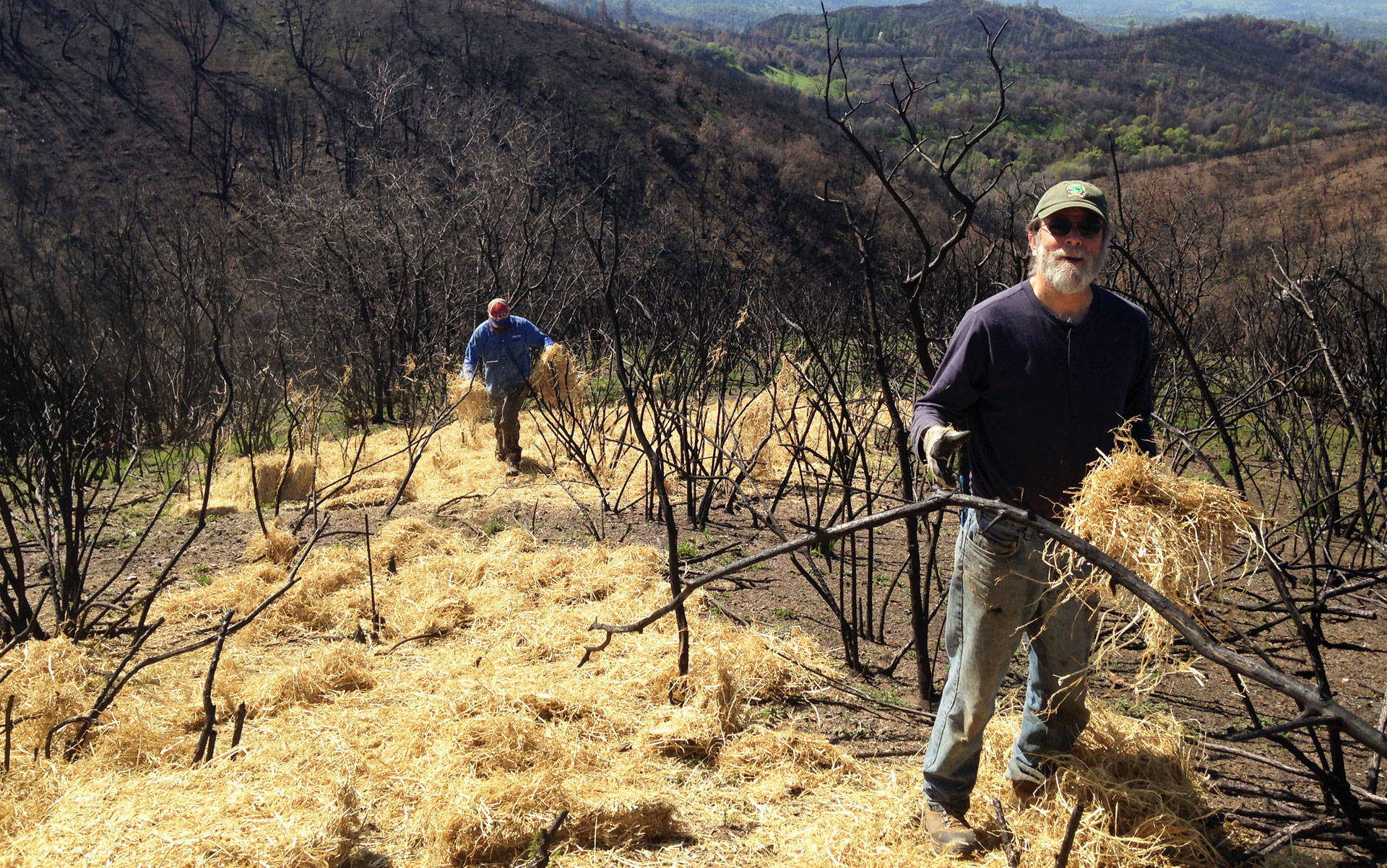 Michael Kriletich and other volunteers with CalaverasGROWN spread straw on scorched hills for erosion control.  Lisa Morehouse/KQED