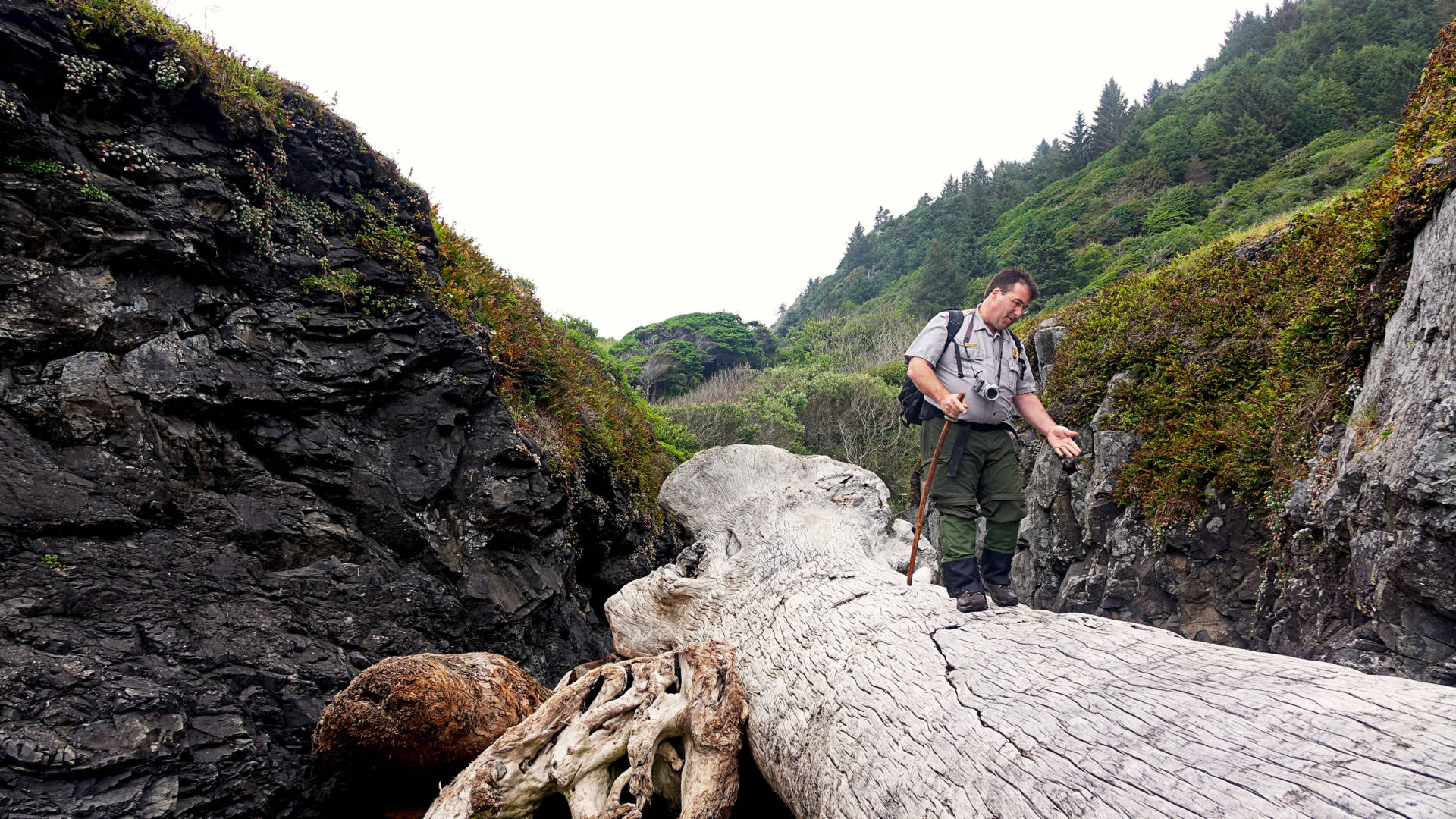 Michael Peterson, an archaeologist at Redwood National Park in California, photographs the coastline annually to monitor erosion of archaeological sites. Jes Burns/OPB/EarthFix