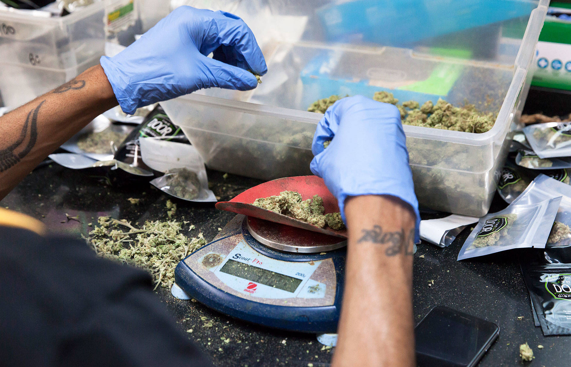 Cannabis buds are weighed before being packaged for sale at the Green Door Dispensary in San Francisco. Brittany Hosea-Small/KQED