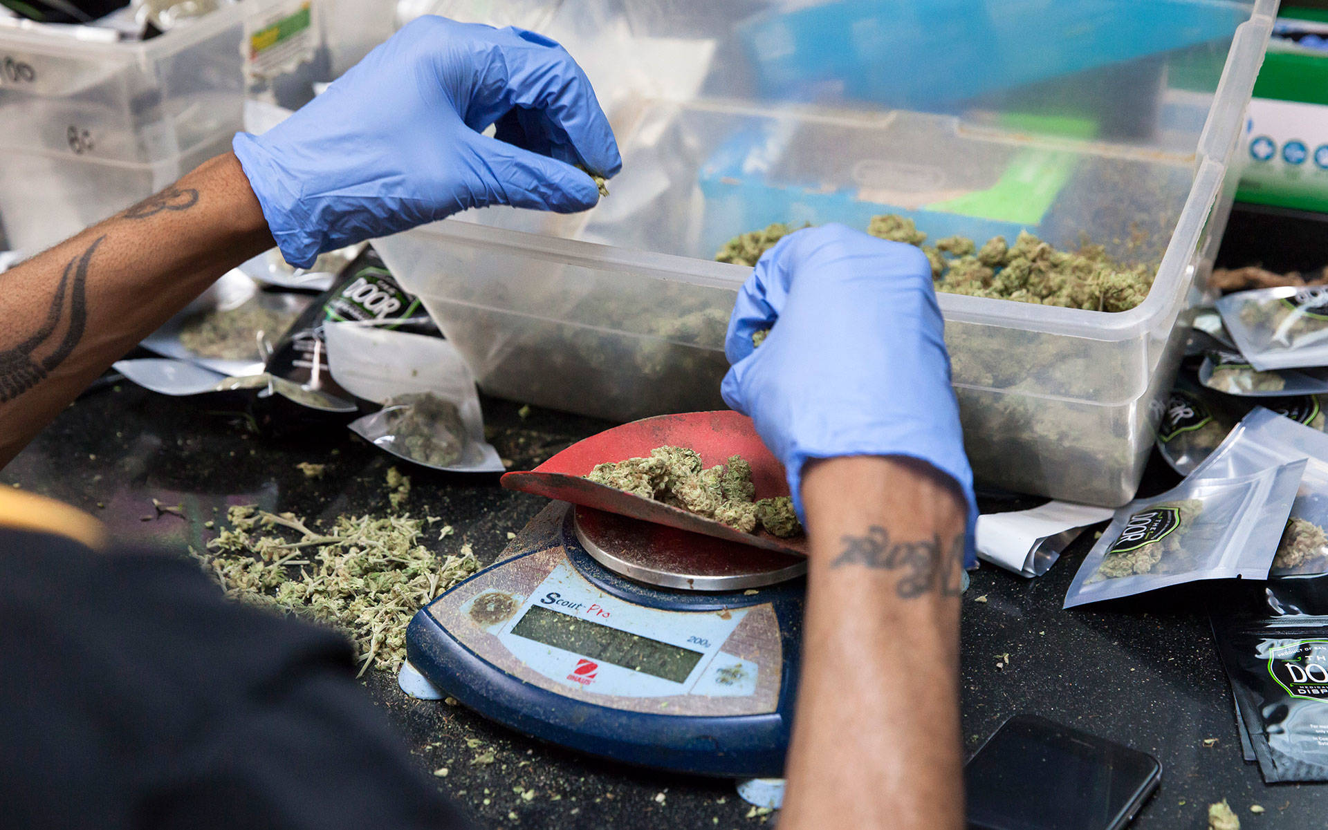 Cannabis buds are weighed out before being packaged at a medical marijuana dispensary in San Francisco. Brittany Hosea-Small/KQED
