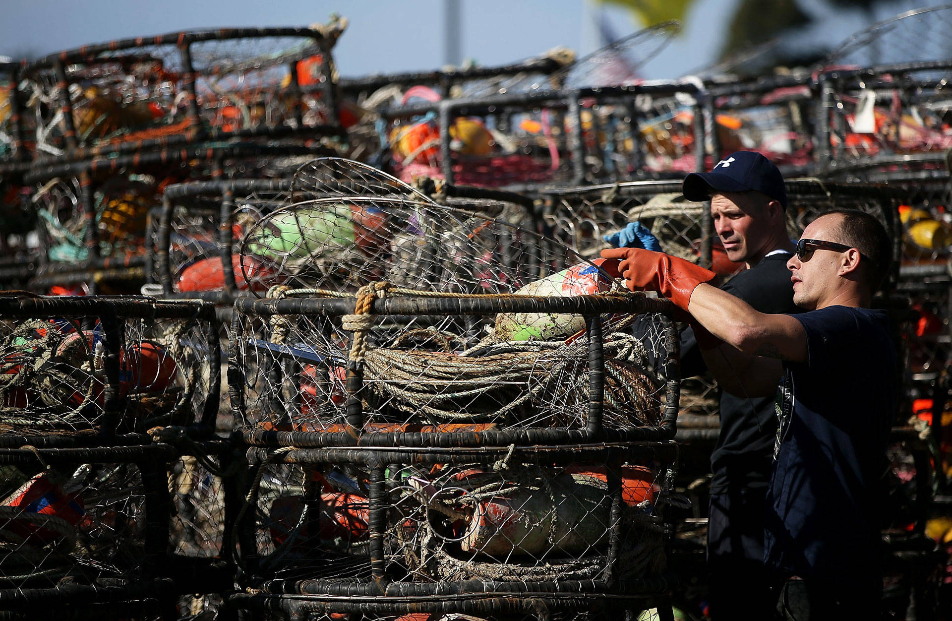 Chris Swim (R) and Nick White repair crab traps in Half Moon Bay. Justin Sullivan/Getty Images