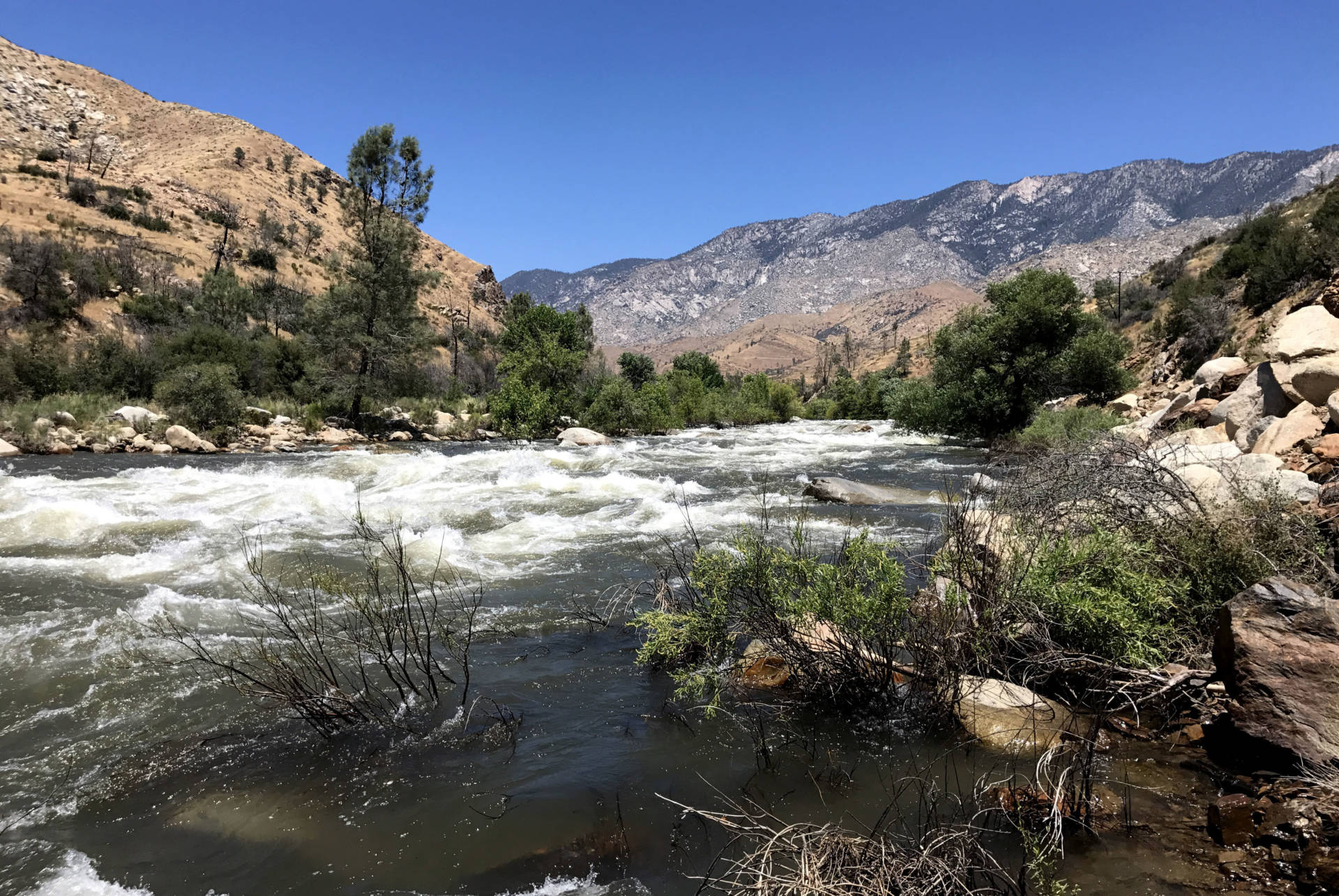 The Kern River's water is 10 times stronger than it was a year ago, after near-record snowmelt from California's wet winter flows down from Mount Whitney in the Sierra Nevada.
 Nathan Rott/NPR