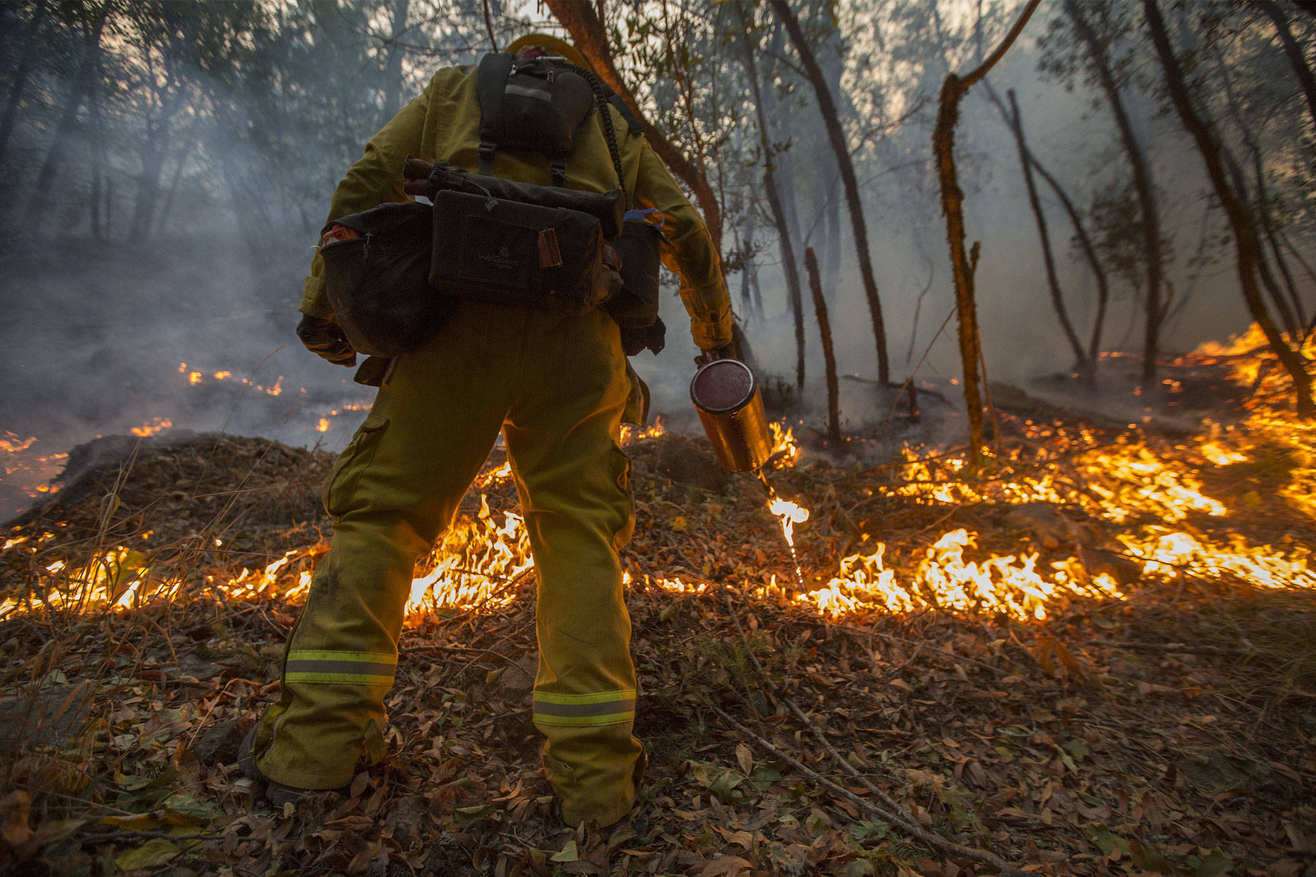 A firefighter uses a drip torch to set a backfire to protect houses in Adobe Canyon during the Nuns Fire on October 15, 2017 near Santa Rosa. David McNew/Getty Images