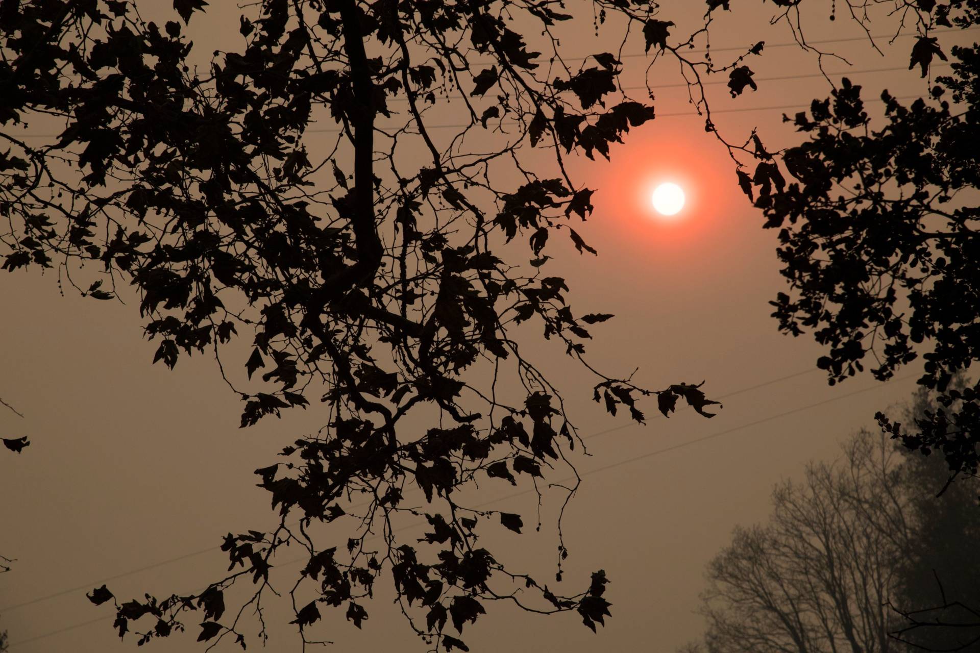The sun shines orange through smoke from the Thomas Fire in the Santa Barbara County town of Carpinteria earlier this week. Parts of Southern California have been under a continual red-flag fire weather warning for nearly two weeks.  Robyn Beck/AFP-Getty Images