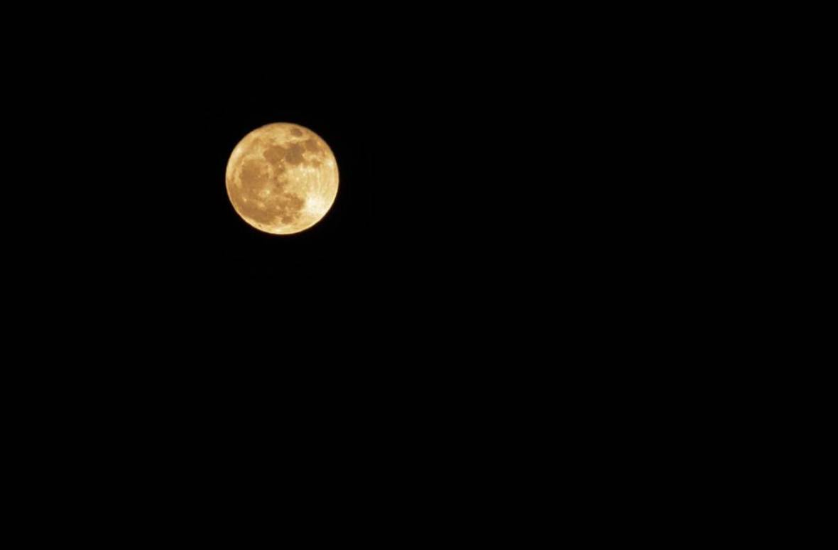 The supermoon as seen from Quintin Chisolm's North Oakland backyard.
 Quintin Chisolm