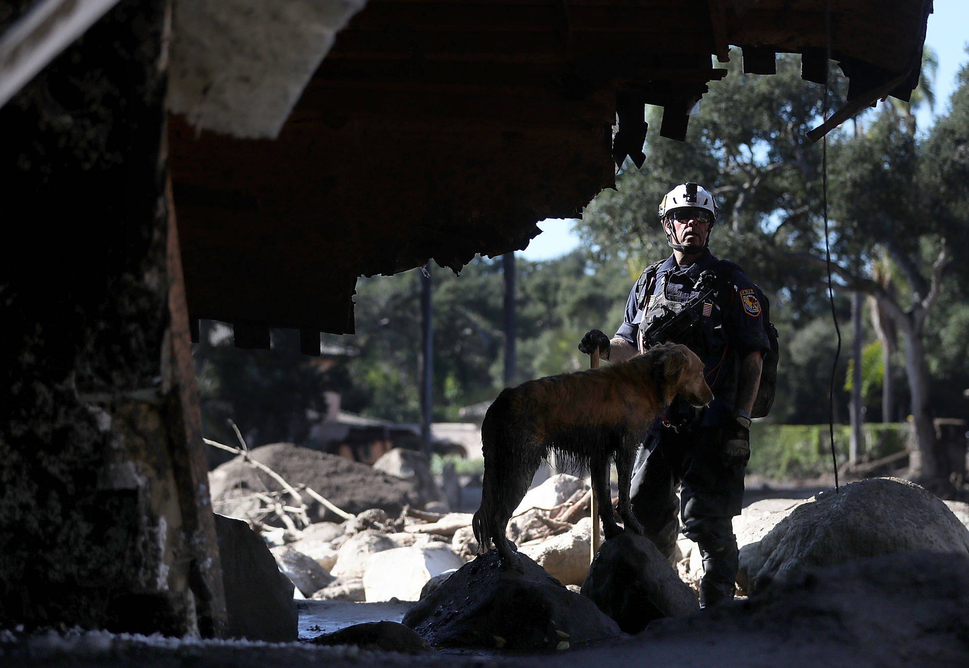 An urban search-and-rescue team member and his dog search a home that was destroyed by a mudslide on Jan. 11, 2018, in Montecito. Justin Sullivan/Getty Images