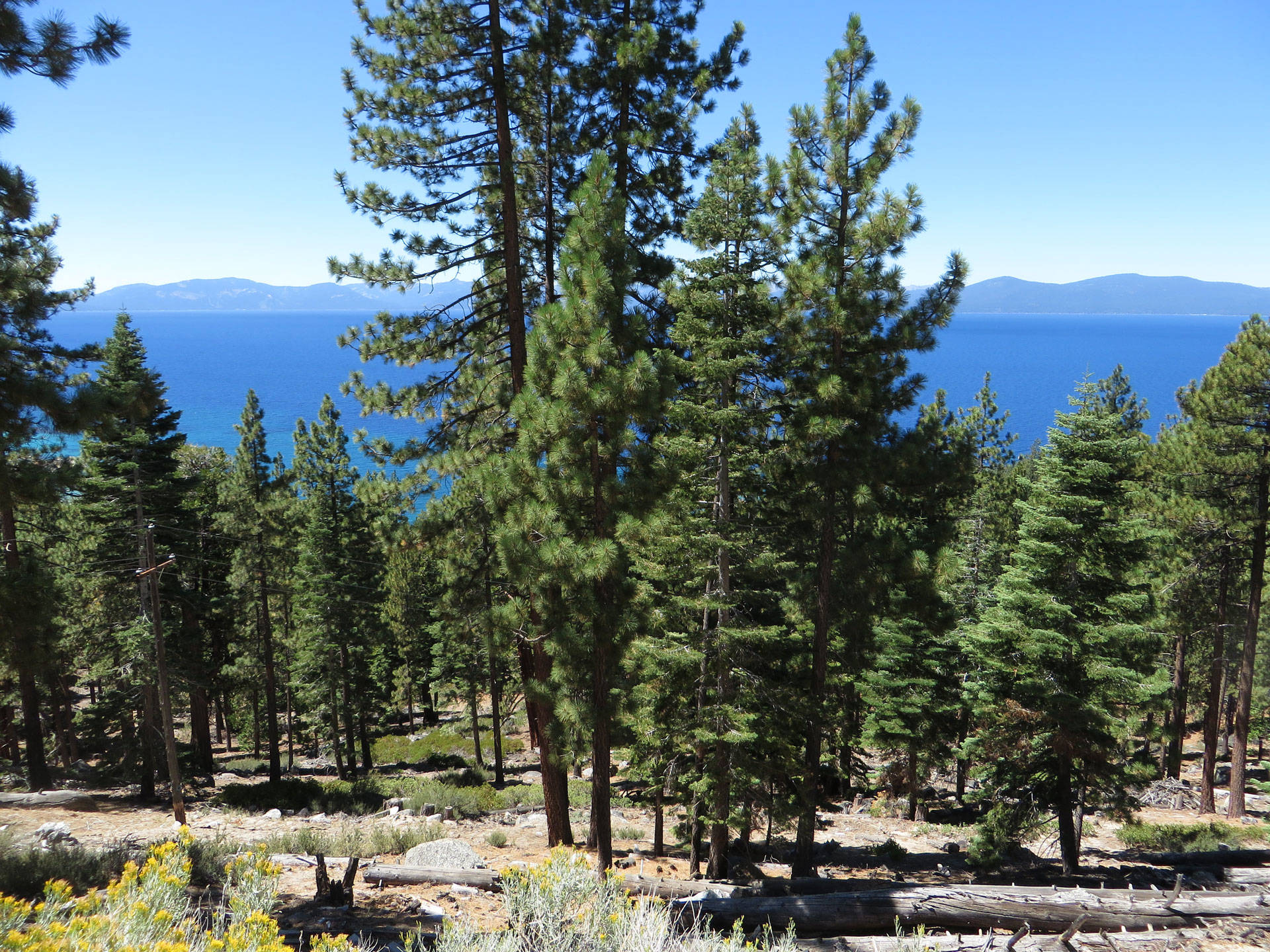 Some cap-and-trade proceeds are going to forest and watershed restoration around Lake Tahoe, which is expected to create multiple benefits: Clearing crowded forests allows more healthy trees to grow, take in and store carbon in the ground and stabilize soils that hold water. Ken Lund/Flickr