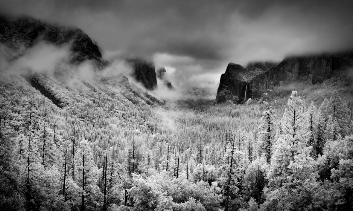Yosemite Valley as pictured from Tunnel View in April 2014. While the shot appears to depict snowy trees, it's an infrared image that makes green foliage appear white.   <a href="https://flic.kr/p/nq67AP" target="_blank">Howard Ignatius via Flickr</a>