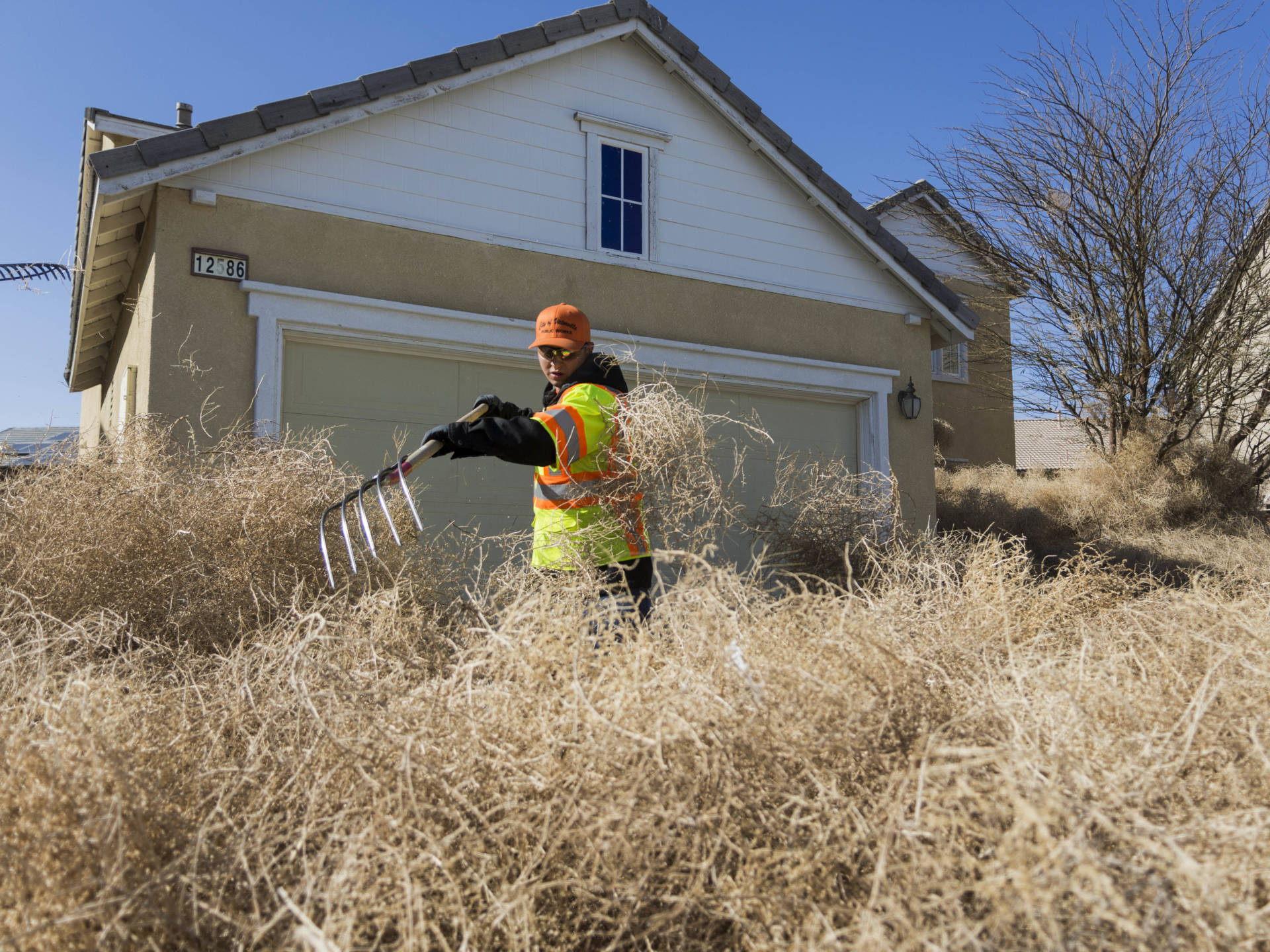 A member of the Victorville public works team clears tumbleweeds from homes on Monday. James Quigg/The Daily Press via AP