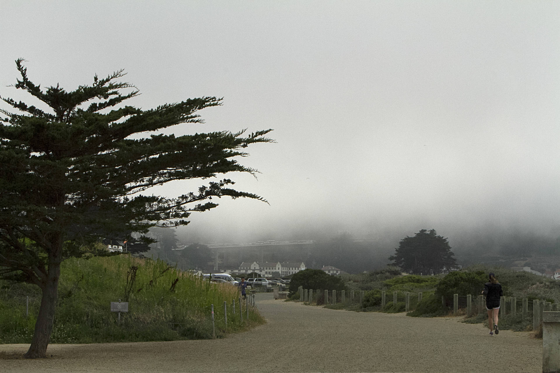 Fog settles over Crissy Field in the Marina neighborhood of San Francisco on July 13, 2018. Anne Wernikoff/KQED