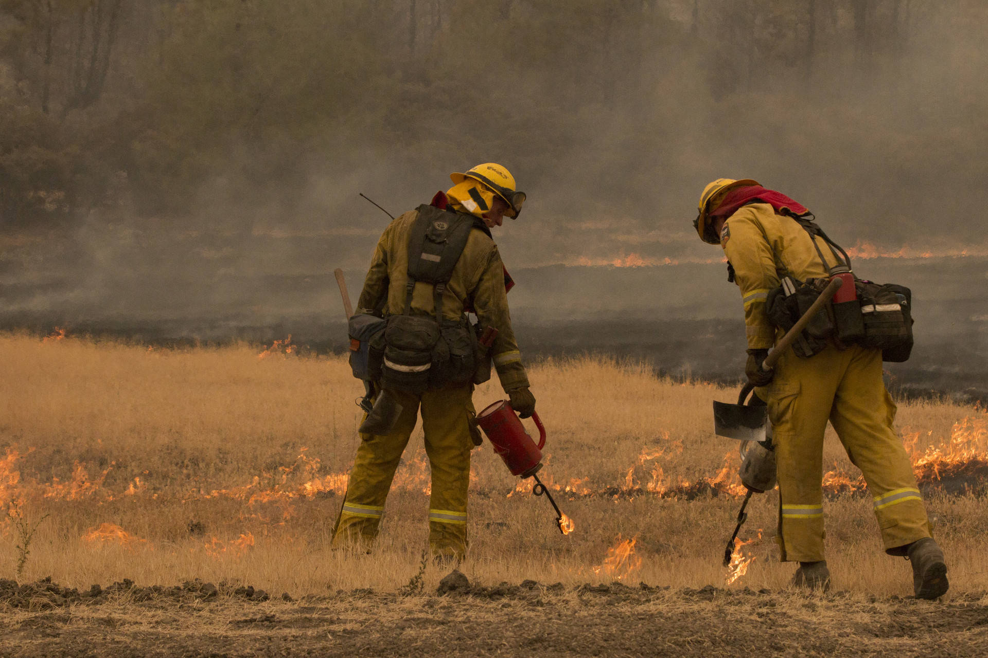 Cal Fire strike team 9272C execute a controlled burn at the southeast corner of the Ranch Fire on the Lake County and Colusa County border on Aug. 7. Anne Wernikoff/KQED
