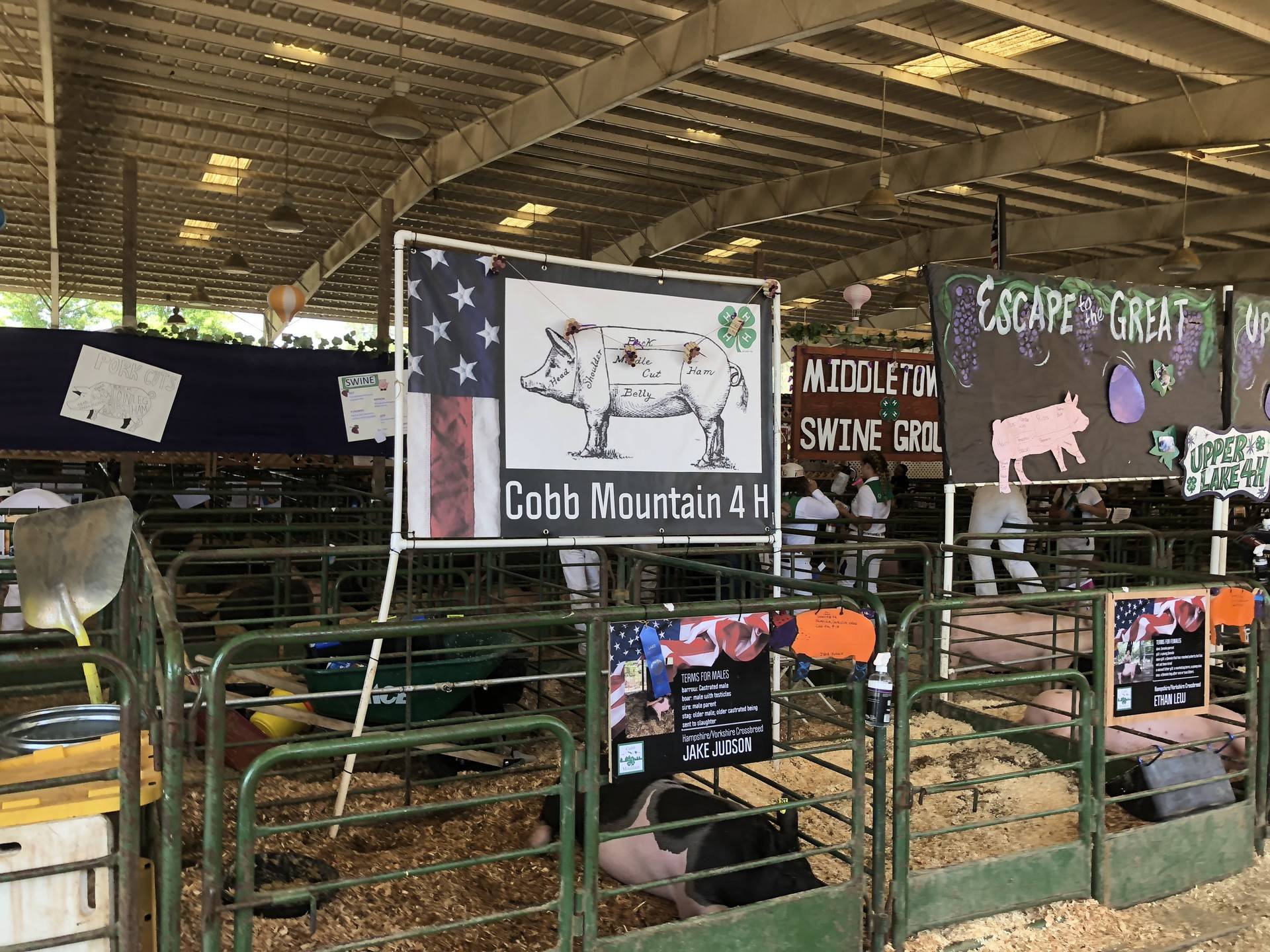 4-H and FFA are a regular part of many kids' summers in rural Lake County, and they get to show off their hard work at the Lake County Fair. Sukey Lewis/KQED
