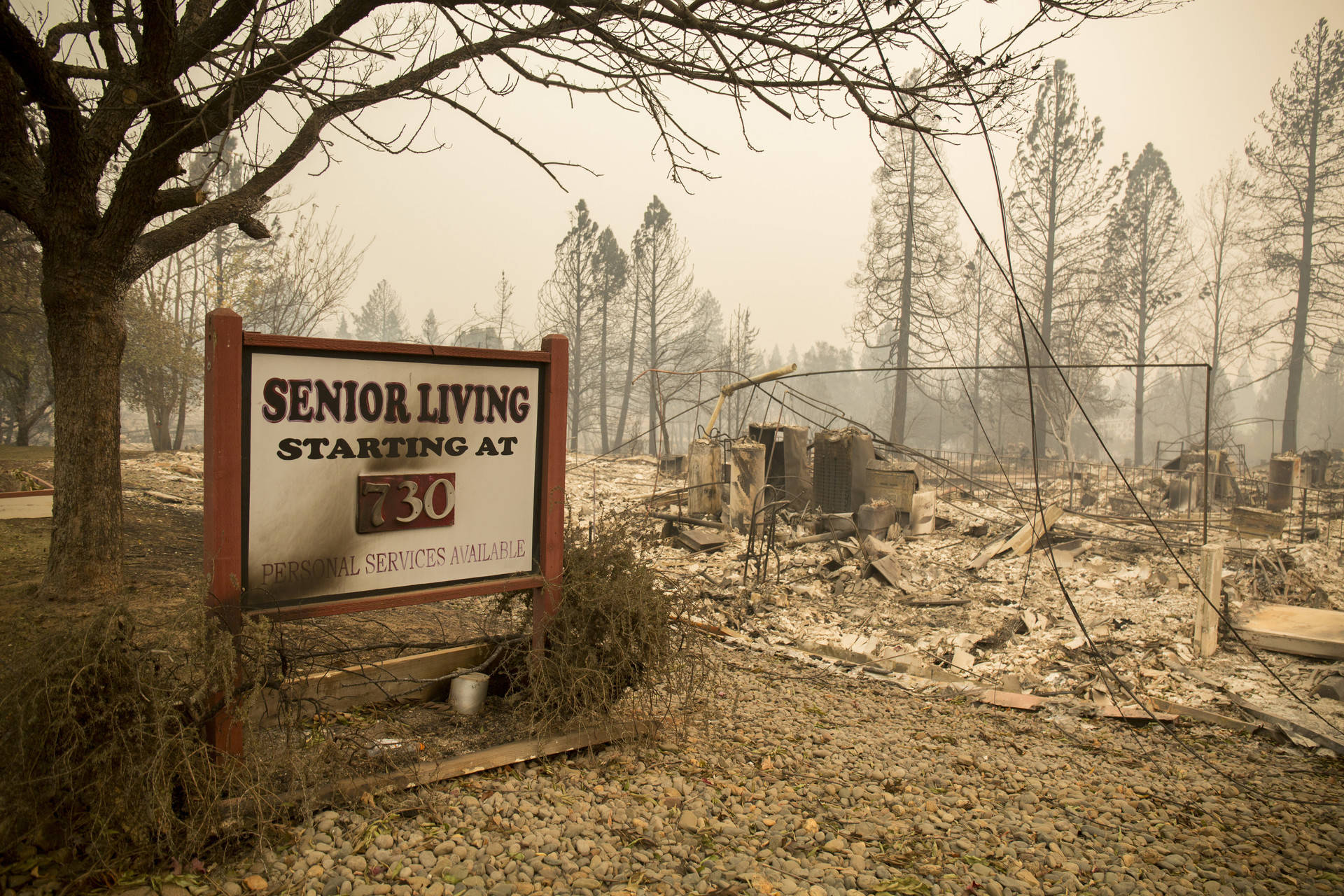 Paradise Gardens senior living facility was destroyed by the deadly Camp Fire in Butte County.   Anne Wernikoff/KQED
