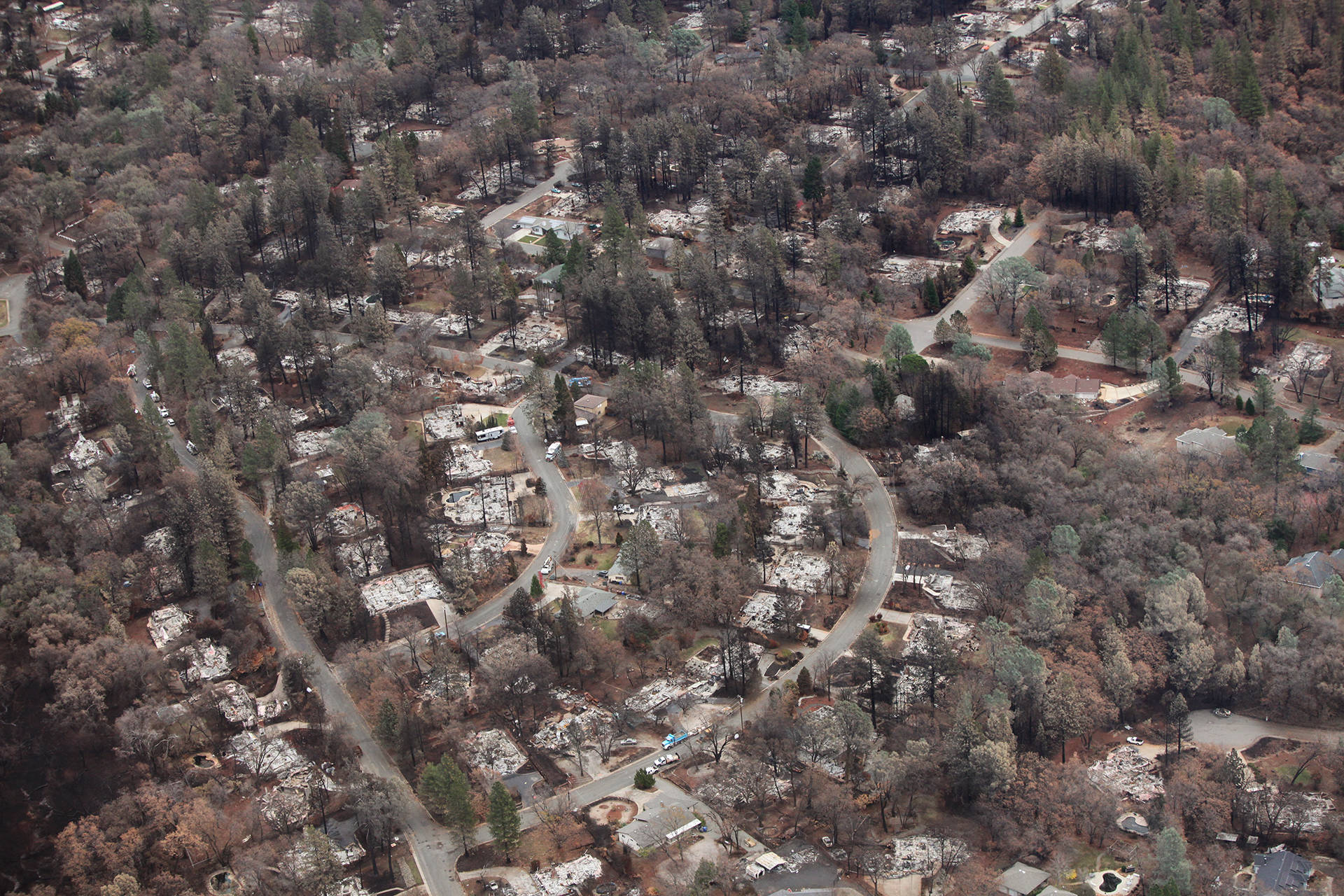 A residential neighborhood in Paradise seen approximately one month after the Camp Fire.  Adam Grossberg/KQED