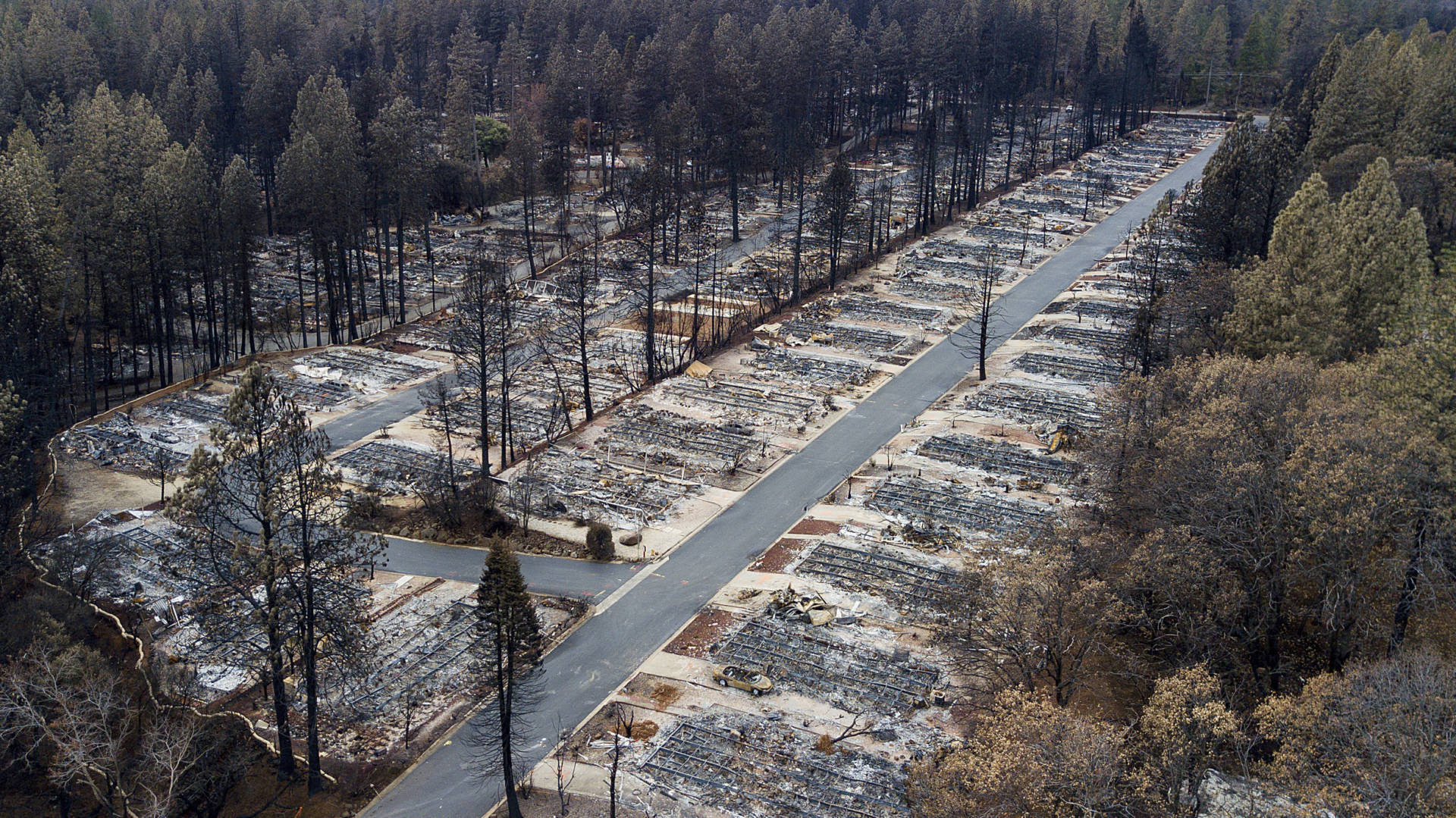 The remains of a mobile home park in Paradise burned by the November 2018 Camp Fire.  Noah Berger/AP